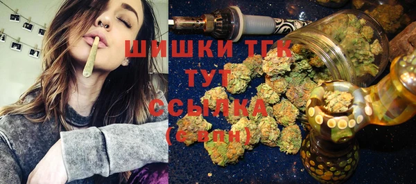 бошки Пересвет