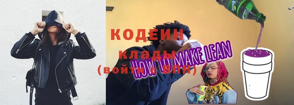 бошки Пересвет