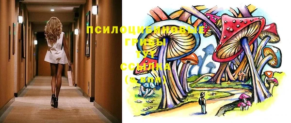 бошки Пересвет
