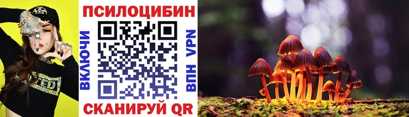 Галлюциногенные грибы Psilocybine cubensis Чистополь