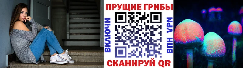 продажа наркотиков  Чистополь  Псилоцибиновые грибы GOLDEN TEACHER 