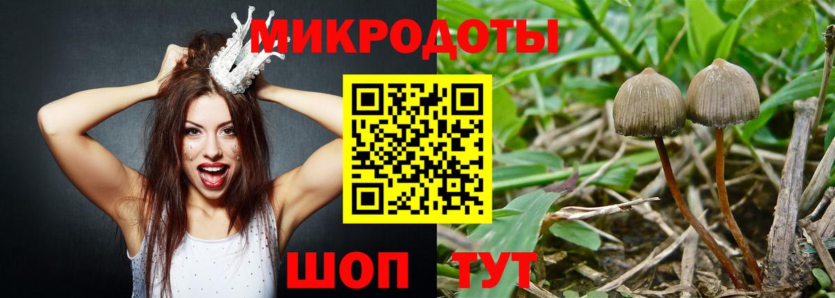 Псилоцибиновые грибы Psilocybe  Вход с VPN  Галлюциногенные грибы прущие грибы  Чистополь 